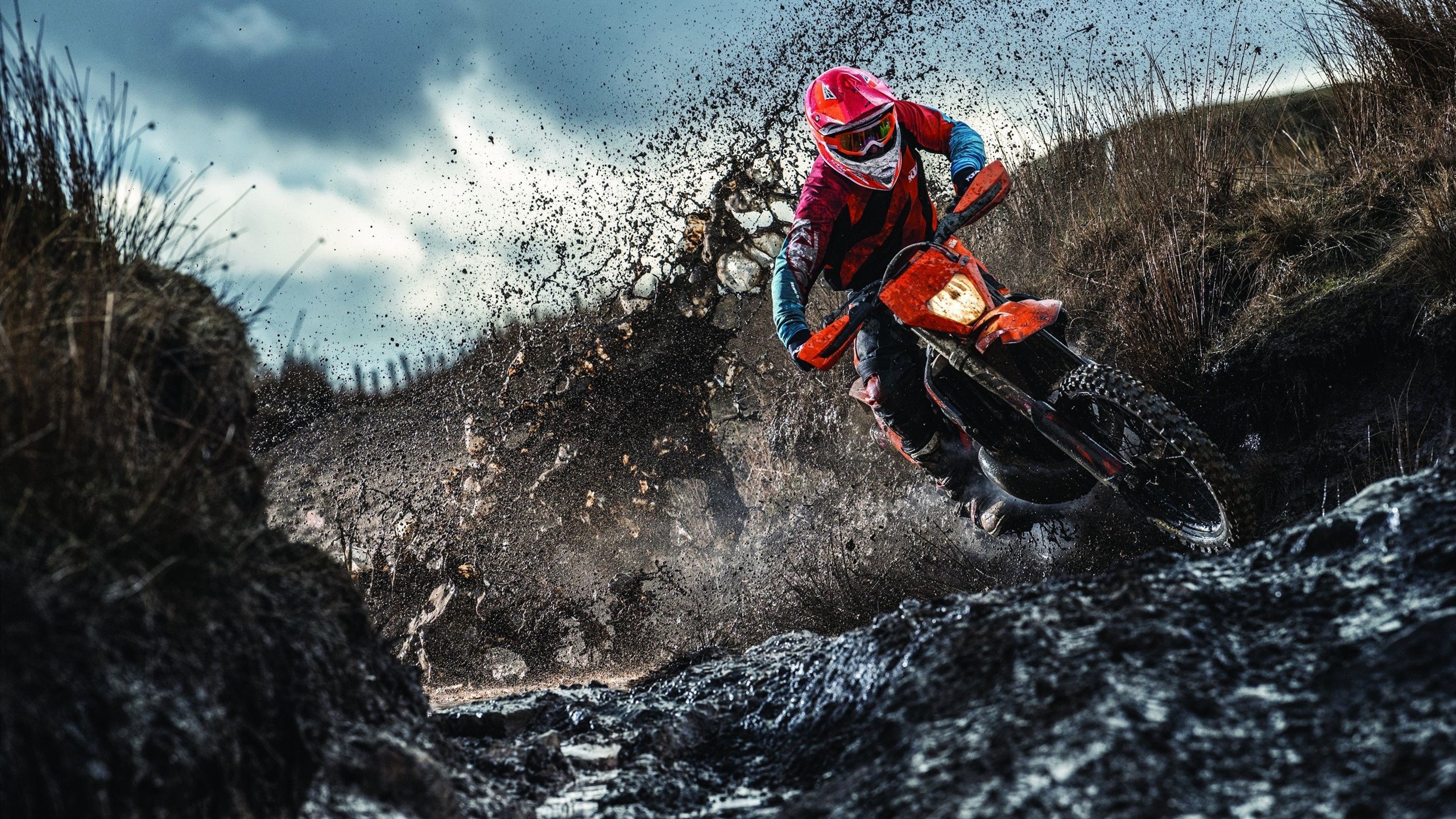 美洲杯逆境中崛起的英雄：闪耀全场的瞬间，美洲杯冠军来群里看看